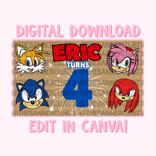 Sonic & Friends Banner Template | Digital File